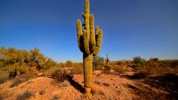 Yuma car rentals