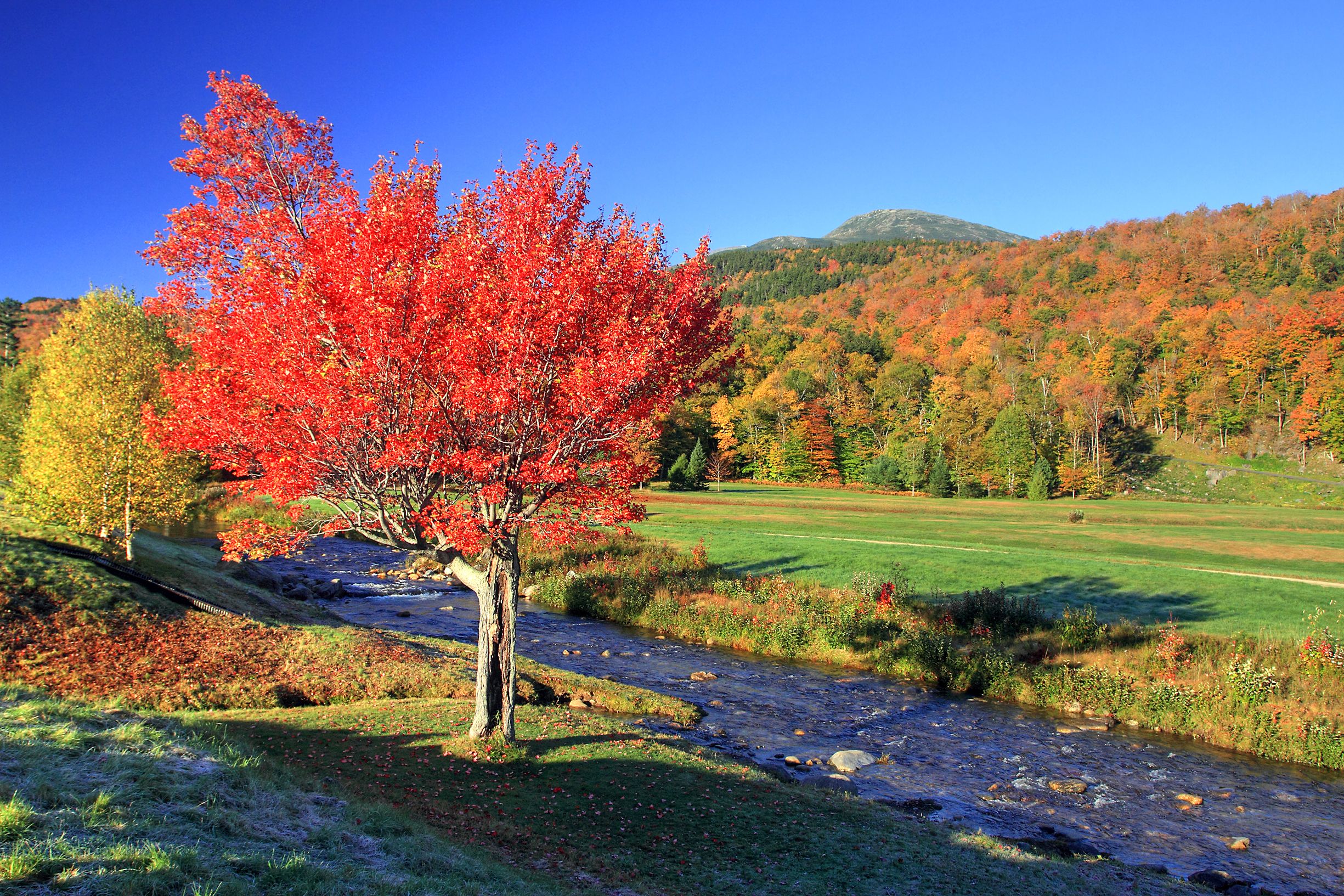Cargo Van & Moving Truck Rental Gorham KAYAK