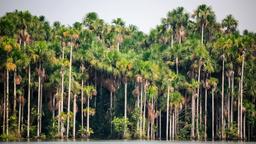 Find cheap flights from Oregon to Tarapoto