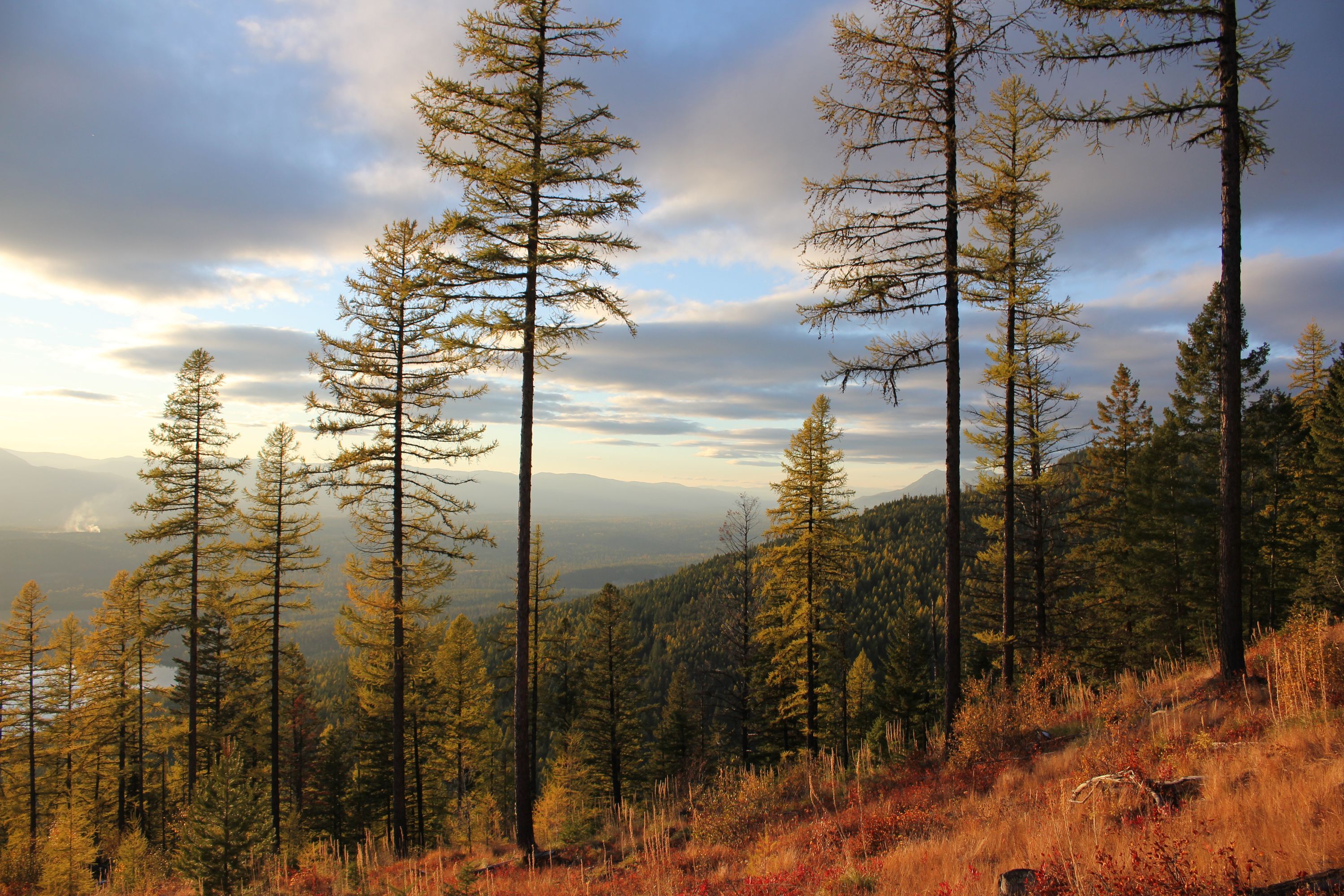 Van Rental Whitefish, Minivans & Passenger KAYAK