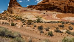 Find cheap flights from Chicago O'Hare Intl to Nevada