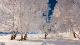 Finland vacation rentals
