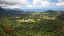 Kaneohe car rentals