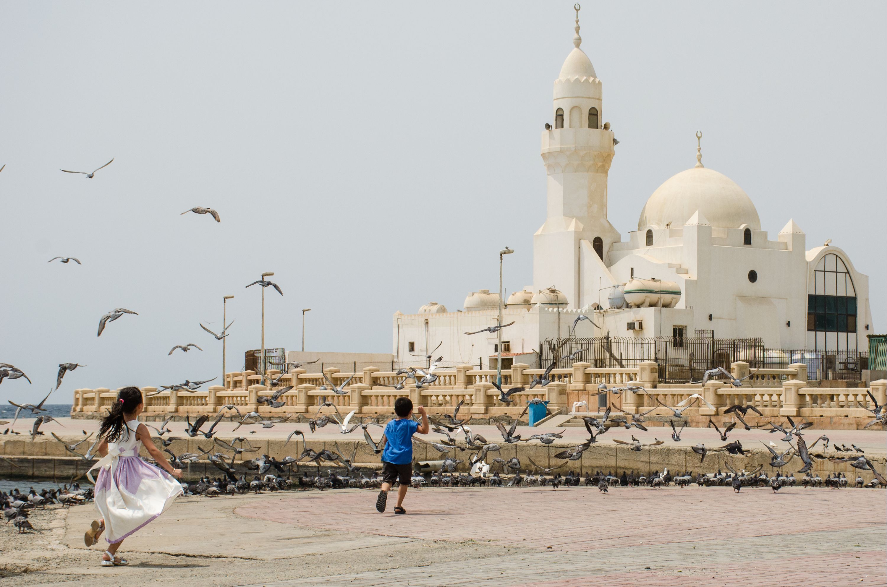 238 CHEAP FLIGHTS to Jeddah in 2024 KAYAK