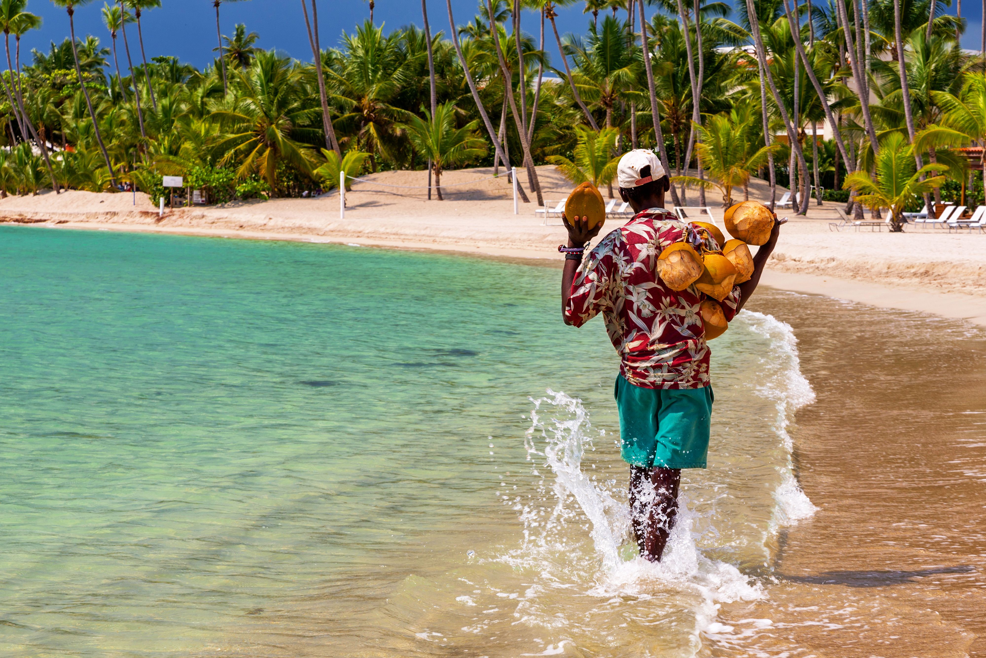 83 CHEAP FLIGHTS to the Dominican Republic KAYAK