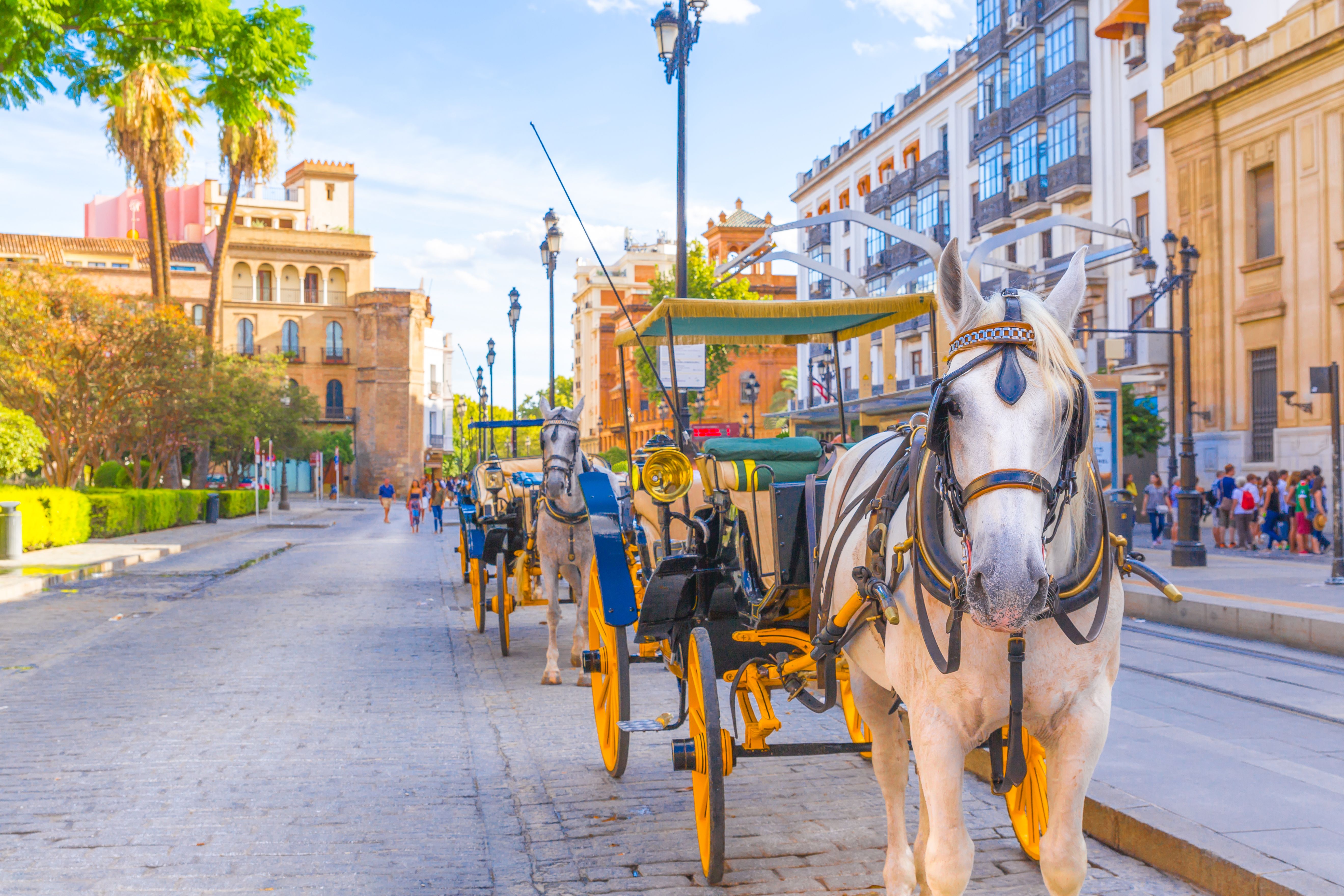 24 CHEAP FLIGHTS from Lisbon to Seville (LIS SVQ) KAYAK