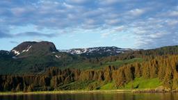 Kodiak Hotels