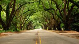 Find cheap flights from Montevideo to South Carolina