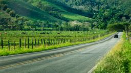Penedo vacation rentals