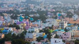 Find cheap flights from Austin to Madurai
