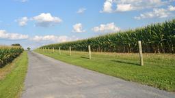 Find cheap flights from Brazil to Pennsylvania