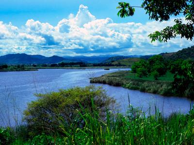 Humacao