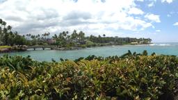 Waikoloa Village Hotels