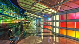 Find cheap flights from Dallas to Chicago O'Hare Intl