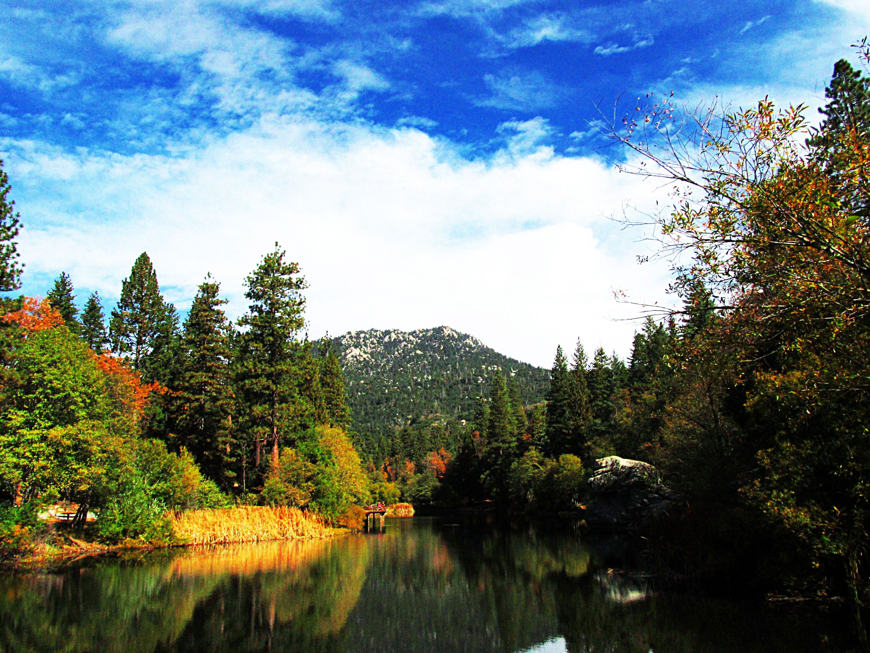 Idyllwild Vacation Rentals from 105/night KAYAK