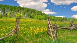 Find cheap flights from Orlando to Colorado