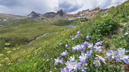 Find cheap flights to Colorado