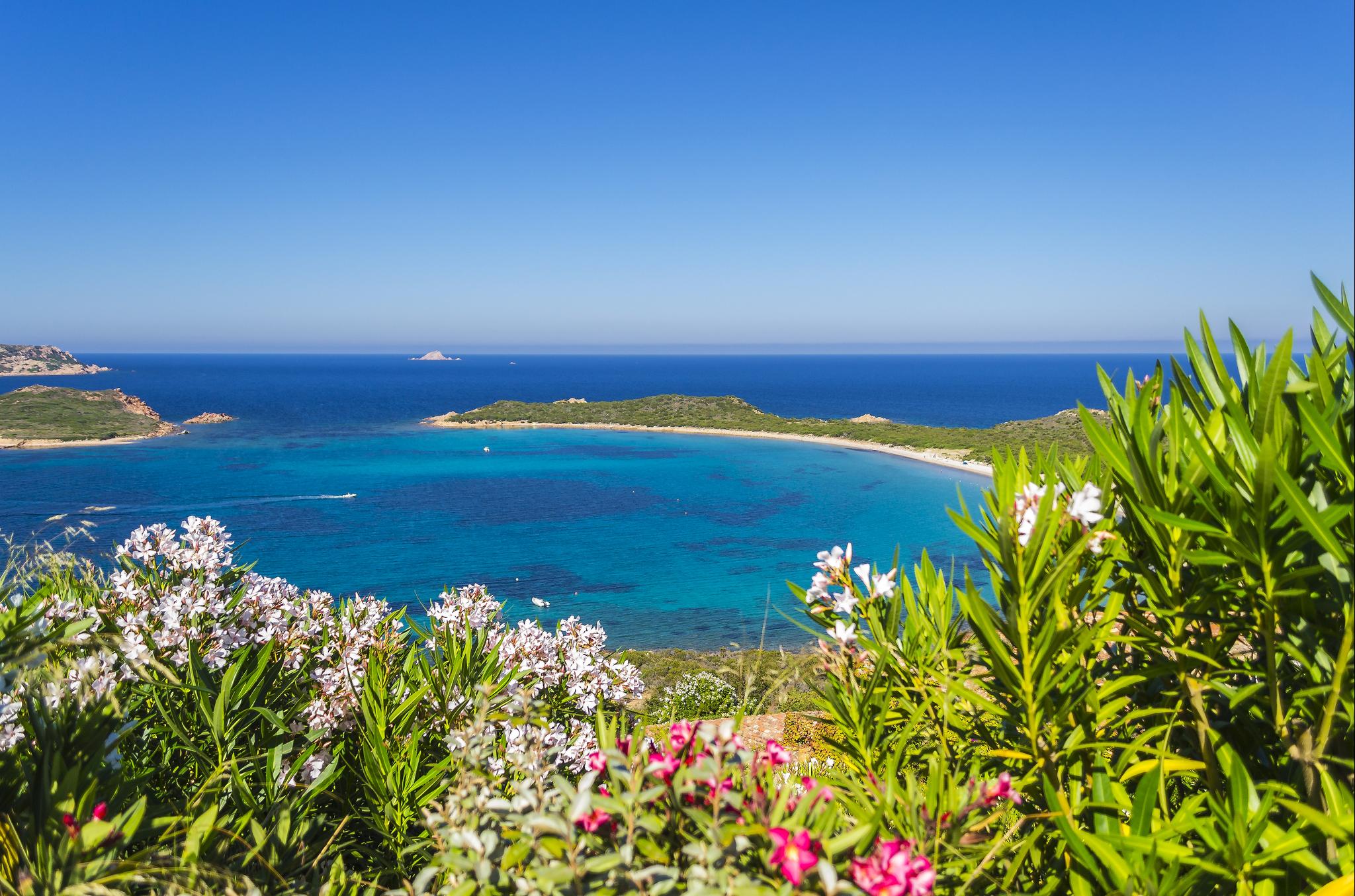 Car Rental Olbia from 5/day Search for Rental Cars on KAYAK
