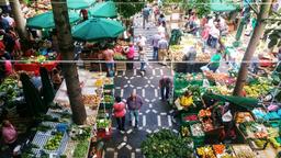 Hotels near Madeira Airport