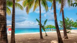 Find cheap flights from St. Louis to Montego Bay