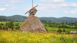 Find cheap flights from California to Ukraine
