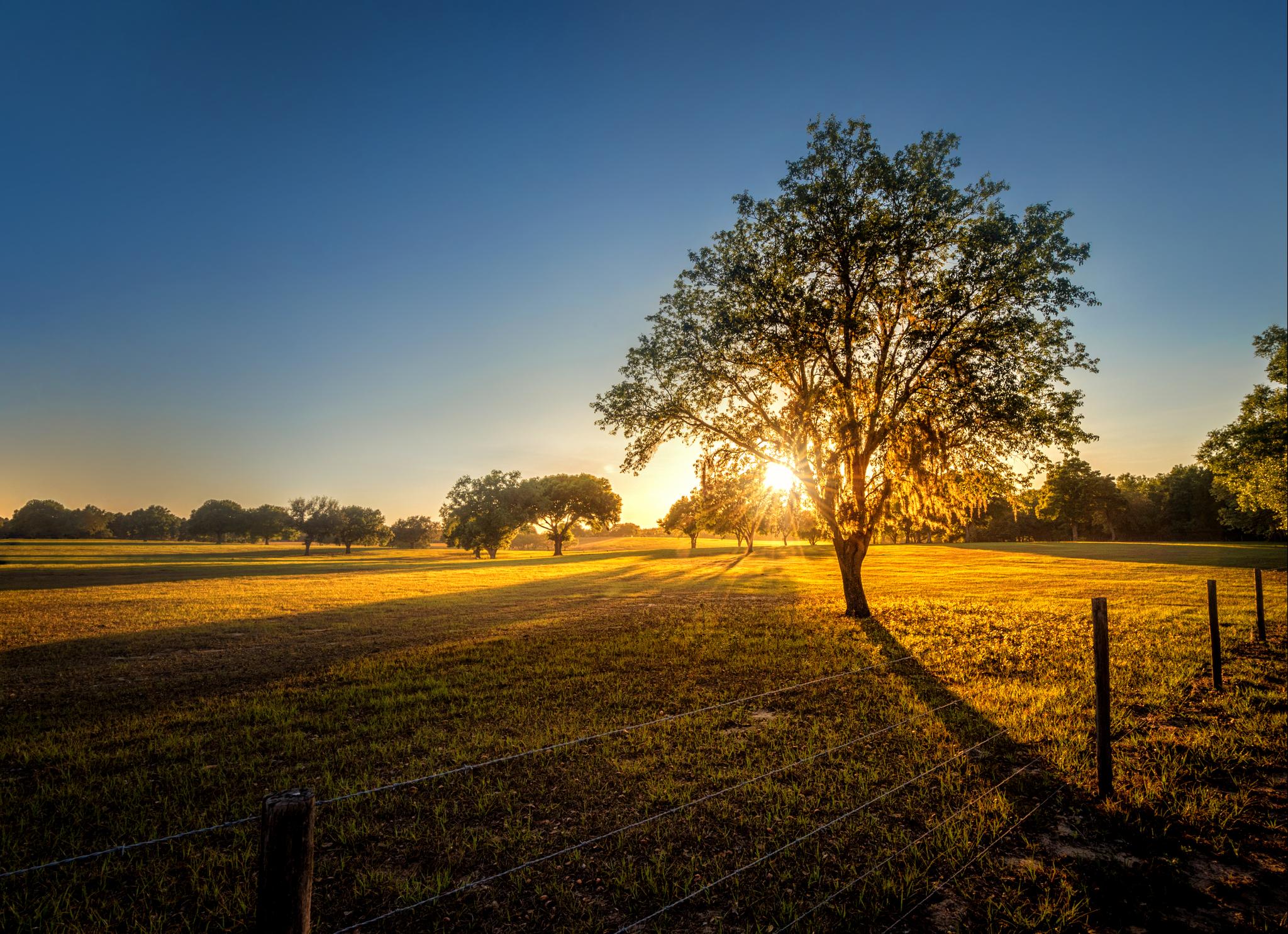 Car Rental Clermont from 22/day Search for Rental Cars