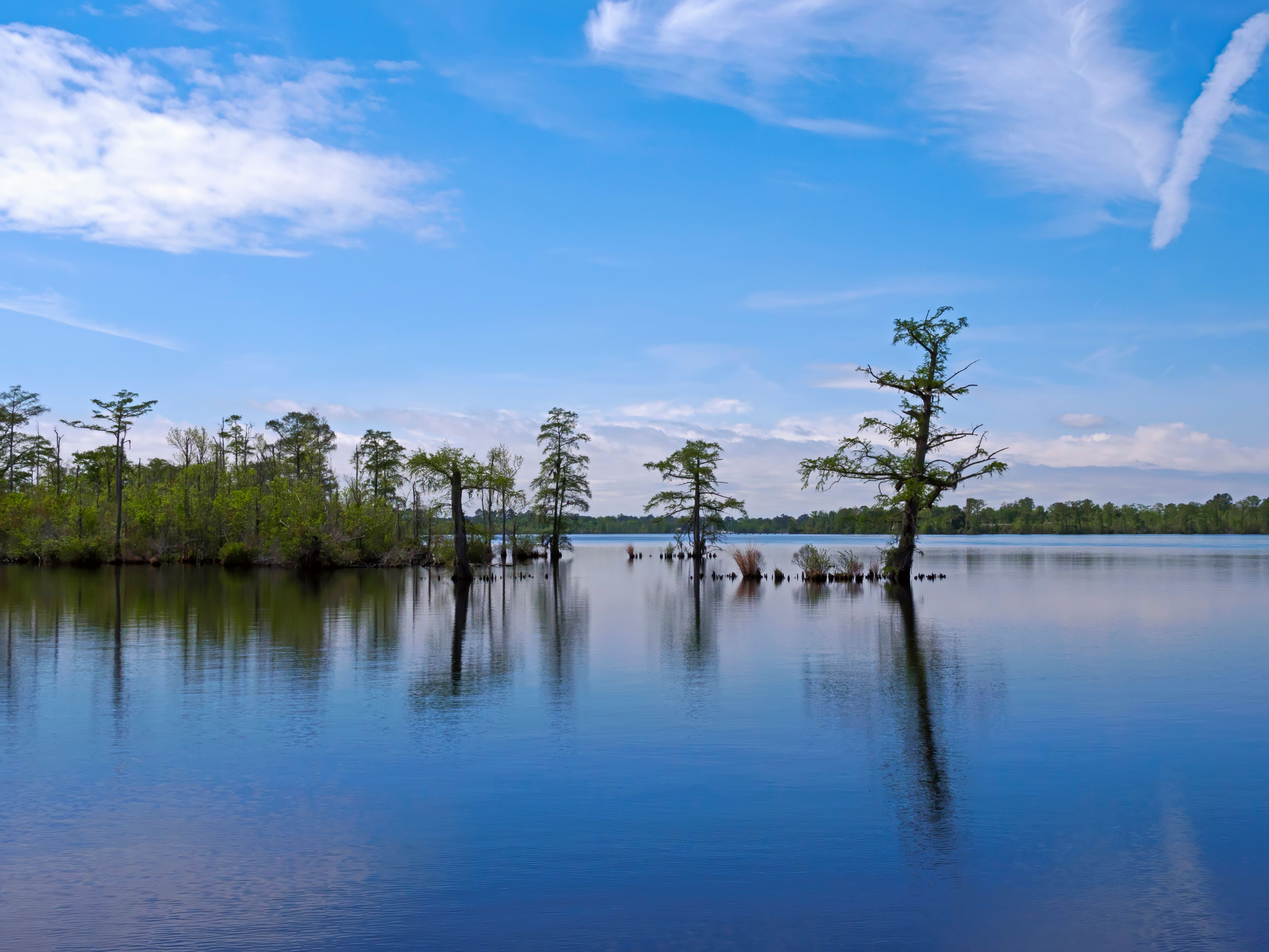 Cargo Van & Moving Truck Rental Elizabeth City KAYAK