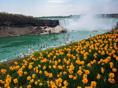 Niagara Falls