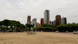 Find cheap flights to Maringá