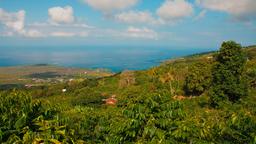 Find cheap flights from Muskegon to Kailua-Kona