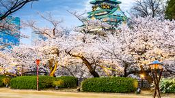Find cheap flights from Alaska to Osaka