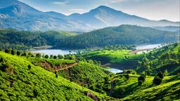 Munnar Hotels