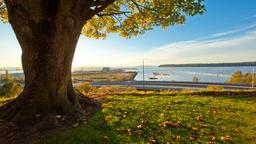 Find cheap flights from Trinidad and Tobago to Washington