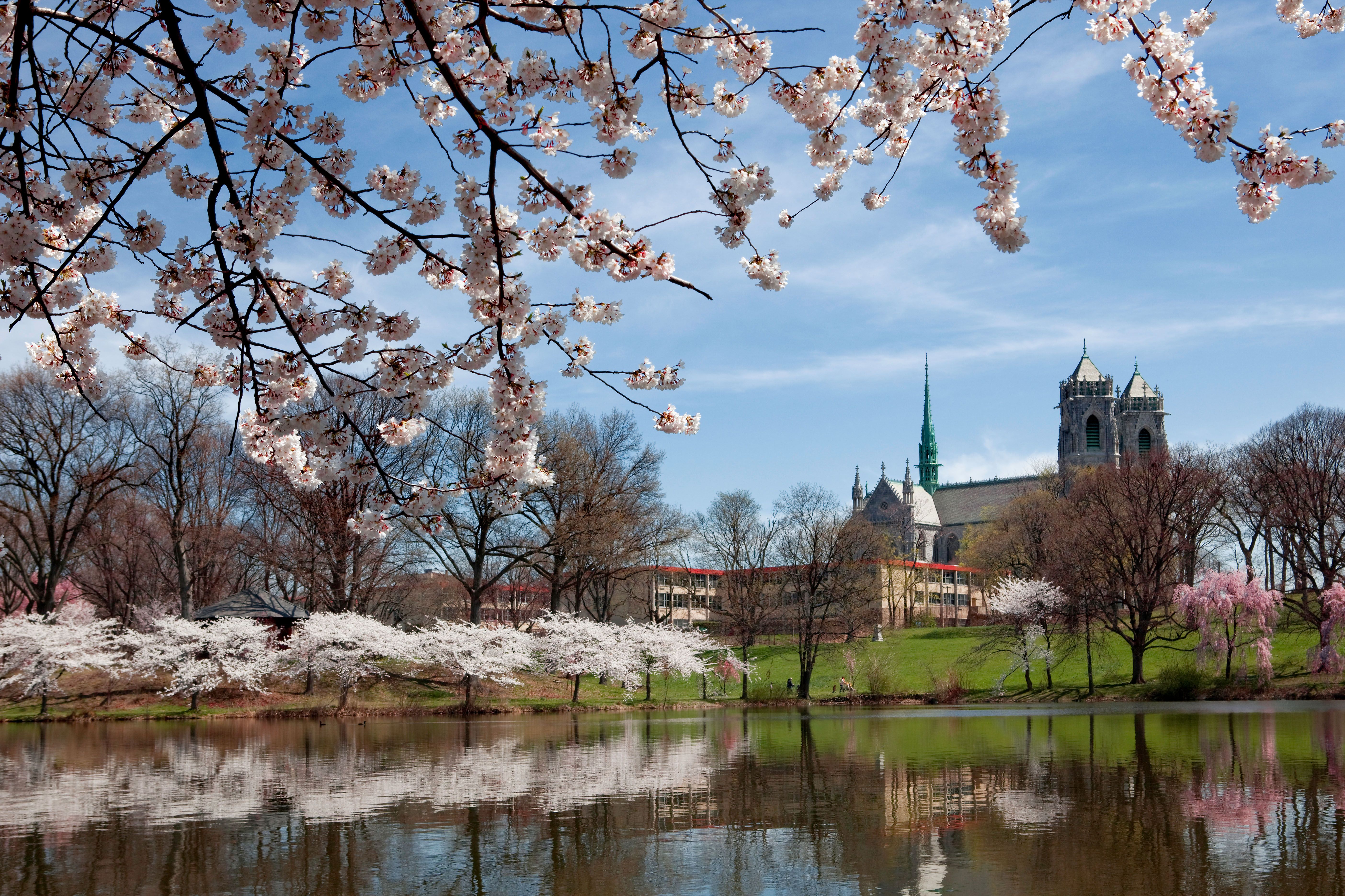 Cargo Van & Moving Truck Rental Belleville from 102/day KAYAK