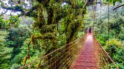 Central America car rentals