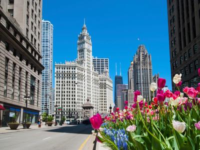 Tweed New Haven Hvn Flight Status Maps More Kayak