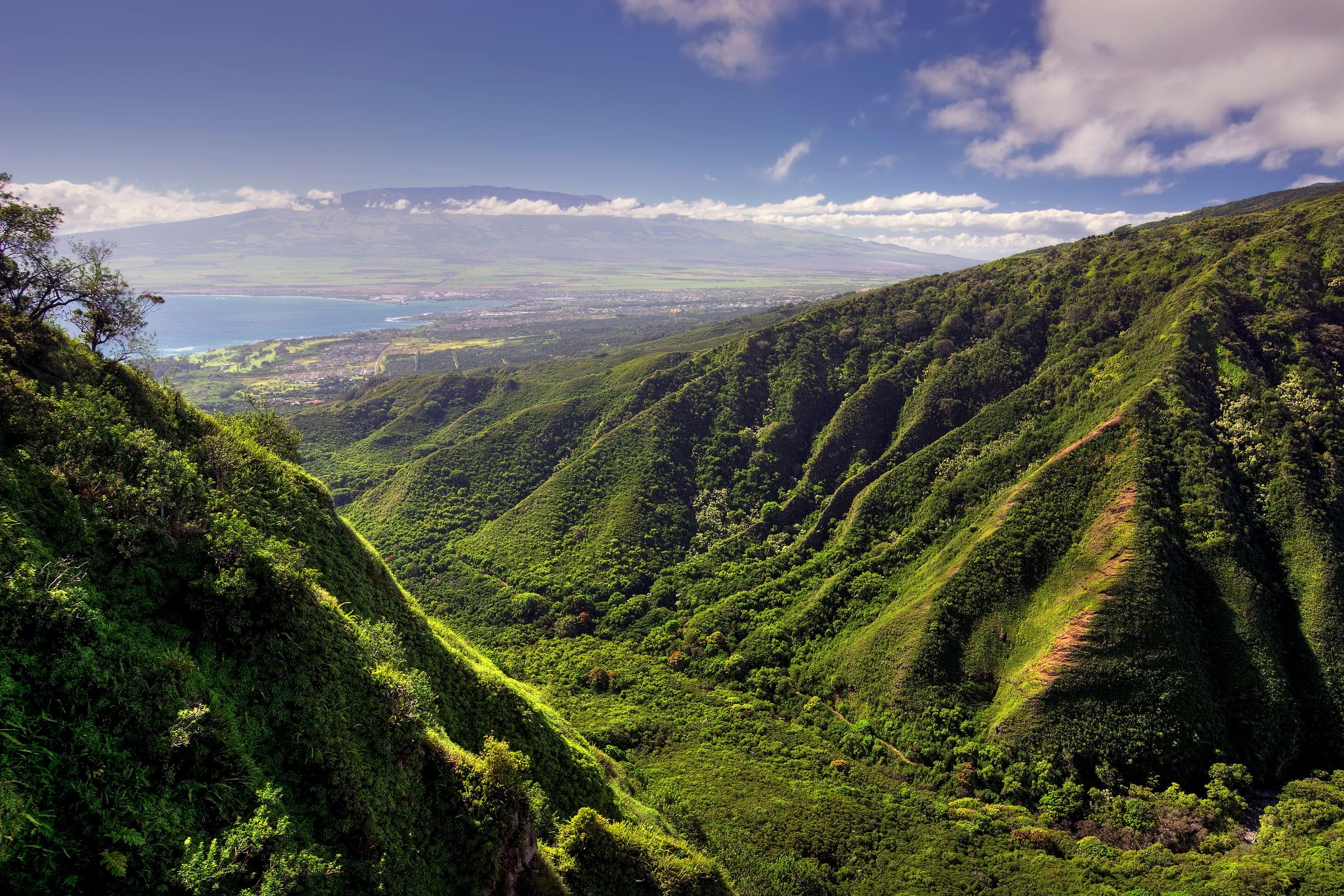 ogg to hnl one way
