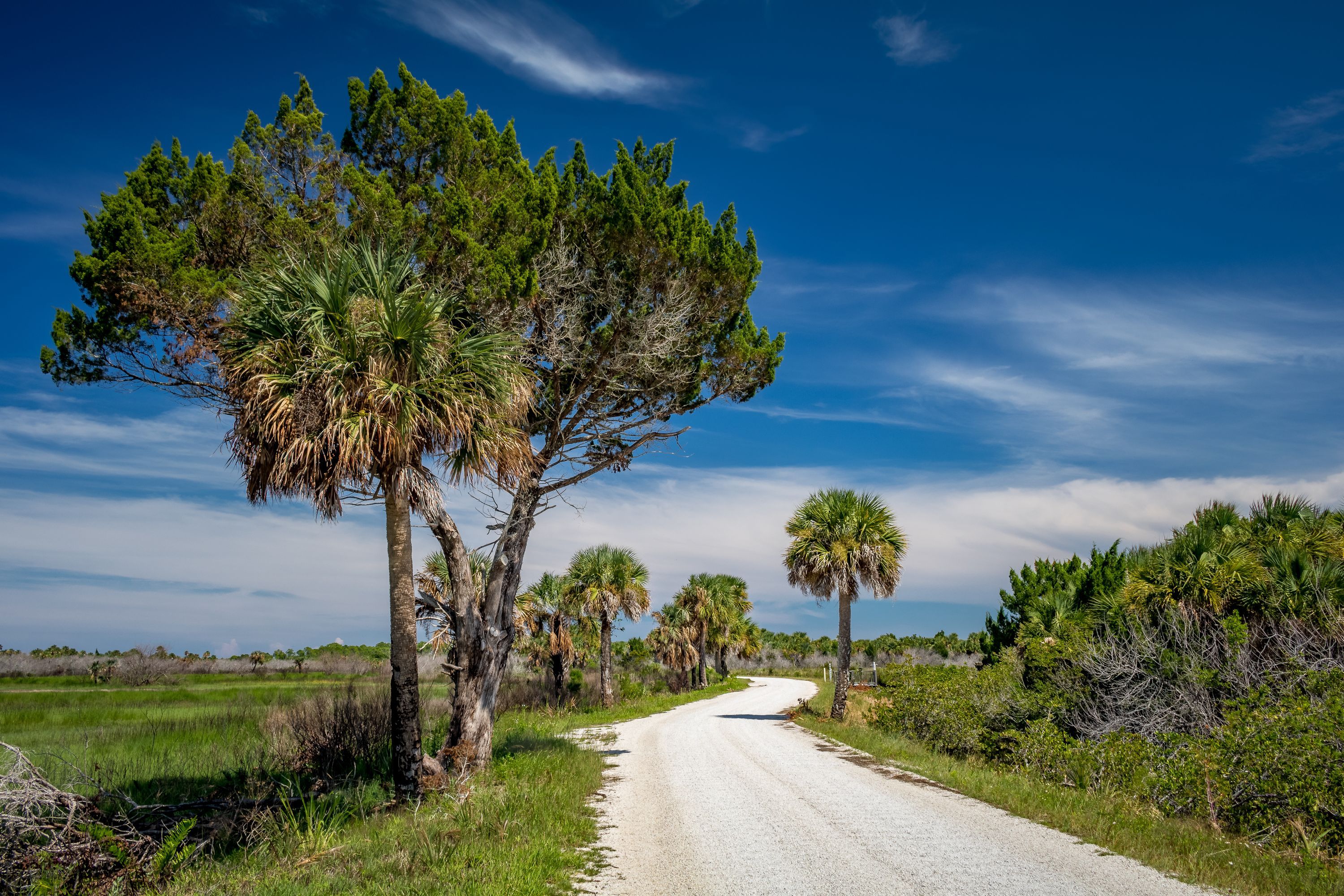 Titusville Vacation Rentals from 60/night KAYAK