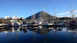 Find cheap flights from North America to Sitka