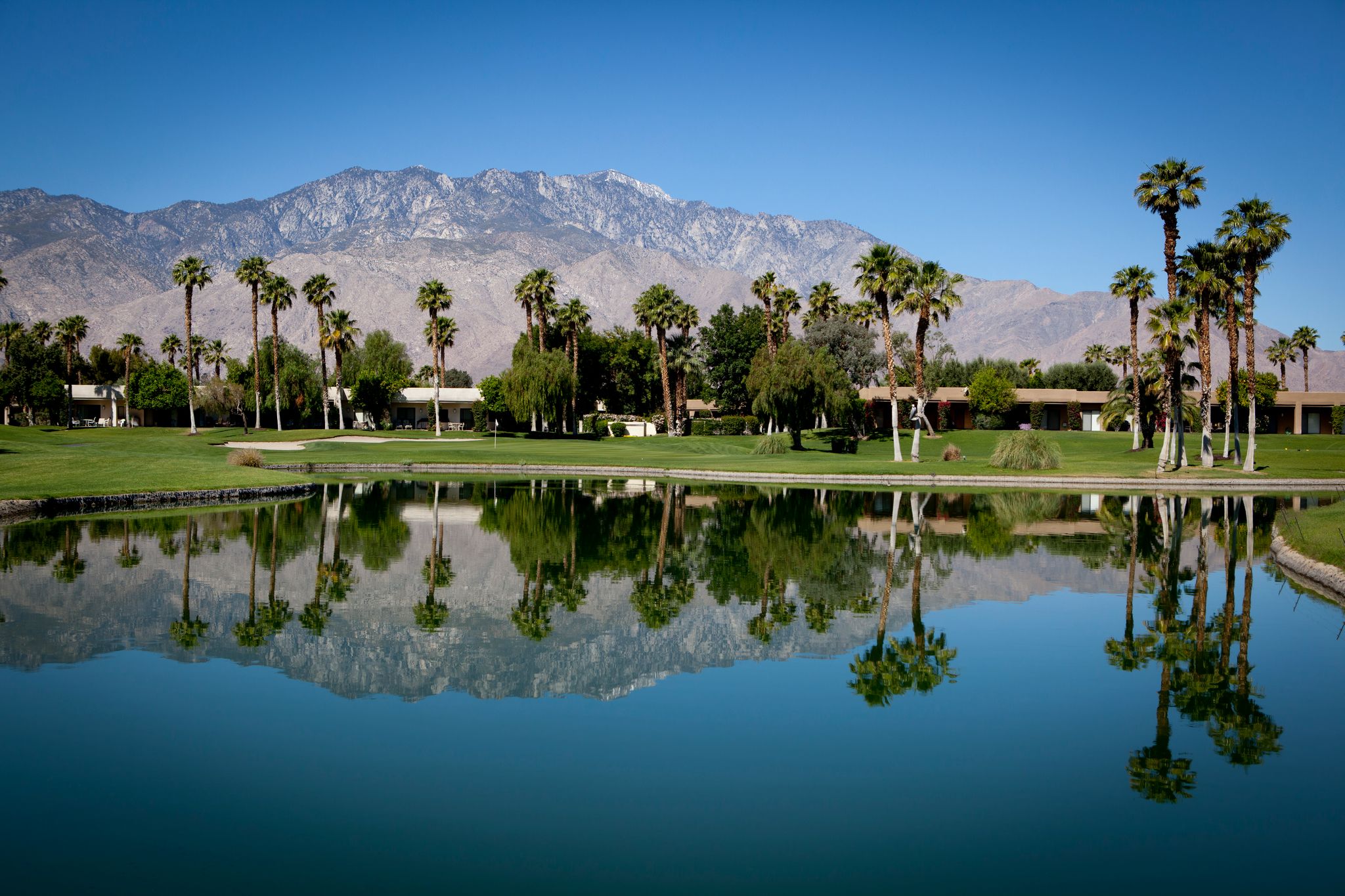 Car Rental Palm Springs from 23/day Search for Rental Cars on KAYAK