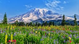 Mount Rainier National Park vacation rentals