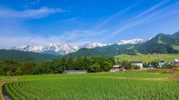 Otari hotels