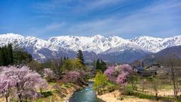 Best Hotels In Hakuba Hotels From 25 Night Kayak