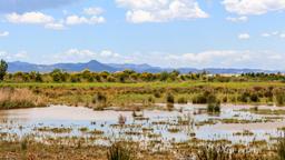 El Prat de Llobregat hotel directory