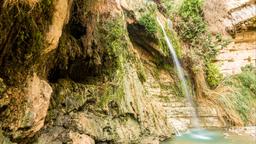 En Gedi car rentals