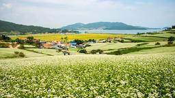 Jangheung hotels