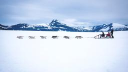 Find cheap flights from O'ahu to Alaska