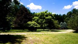 Ledyard hotels