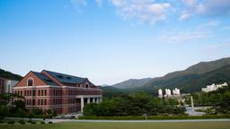 Find cheap flights from New York to Wŏnju