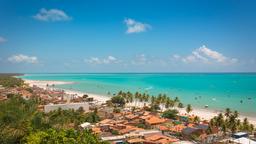 Cheap Flights From Hawaii To Brazil From 702 Kayak